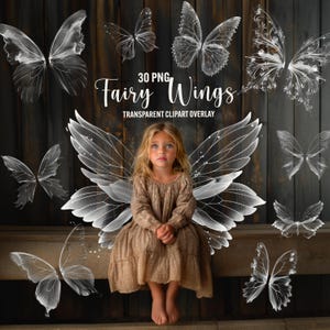 Feenflügel Overlays, 30 PNG Flügel Overlays, Schmetterling Flügel, Photoshop Overlay, Fantasy Flügel PNG, sofortiger Download, kommerzielle Nutzung