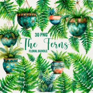 Bundle de cliparts fougères aquarelle, 30 feuilles de fougère vertes png, clipart de jardinage floral, plante d'intérieur en pot, utilisation commerciale de téléchargement immédiat
