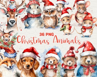 Christmas animals clipart Christmas gift clipart Winter clipart, dear, owl, bunny, cat, fox dog, mouse. 36 Christmas png Commercial Use