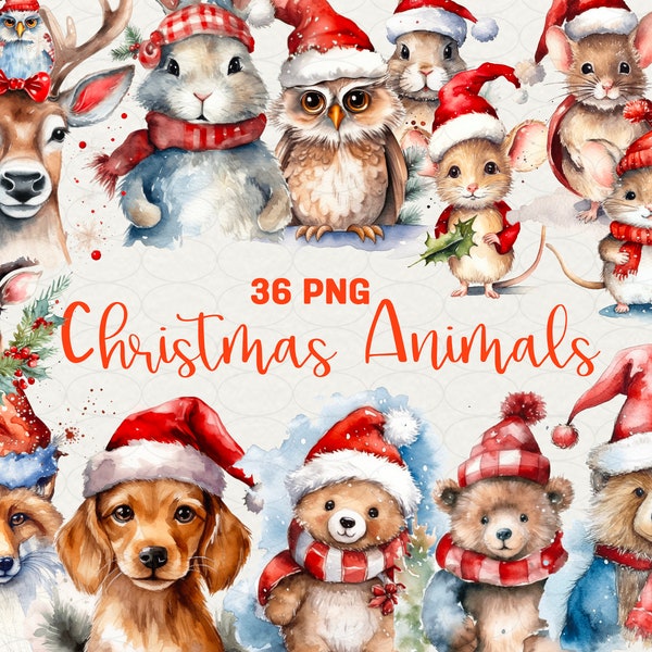 Christmas animals clipart Christmas gift clipart Winter clipart, dear, owl, bunny, cat, fox dog, mouse. 36 Christmas png Commercial Use