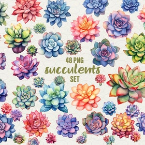Imágenes prediseñadas de suculentas, imágenes prediseñadas florales, 48 imágenes PNG. Arte digital de suculentas en acuarela, ilustración de cactus con vegetación. Uso comercial.