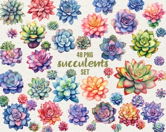Watercolor Succulent Clipart: 48 PNG Floral & Cactus Illustrations (Commercial Use)
