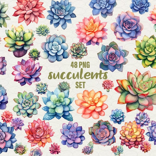 Succulent clipart, floral clipart, 48 png. Digital succulents watercolor succulent art, Greenery Cactus illustration. Commercial Use.