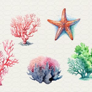 Op de afbeelding: Waterverfillustratie van verschillende koralen en zeewier. De illustratie toont een roze en rode koraal, een blauwe en roze koraal, een groen zeewier en een rode zeester.