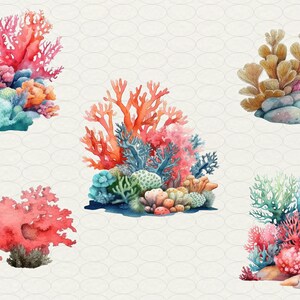 Op de afbeelding: Een aquarel-illustratie van vijf verschillende koraalrif-arrangementen. Het koraal is in tinten roze, rood, oranje, blauw en groen. Het koraal is geplaatst op een witte achtergrond met een subtiel patroon.