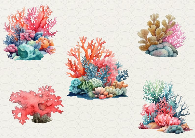 Op de afbeelding: Een aquarel-illustratie van vijf verschillende koraalrif-arrangementen. Het koraal is in tinten roze, rood, oranje, blauw en groen. Het koraal is geplaatst op een witte achtergrond met een subtiel patroon.