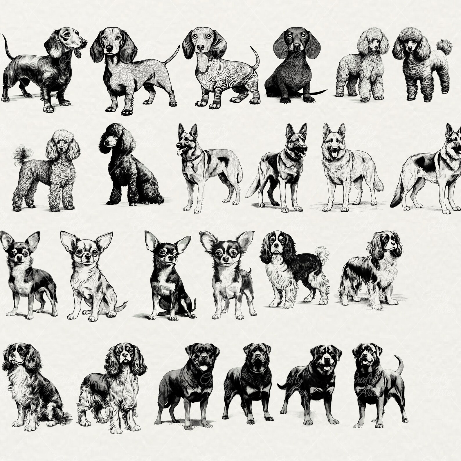 Dog Breeds Clipart: Vector Line Art Illustrations (SVG & PNG) - Etsy