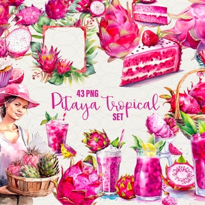 Imágenes prediseñadas de pitaya, imágenes prediseñadas de pitaya en acuarela 43 PNG, fruta del dragón, limonada, pastel, frutas tropicales, batido, helado y más. Uso comercial.