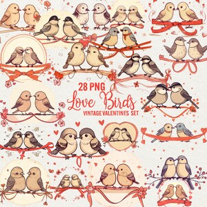Clipart retrò di Love Birds, clipart di San Valentino, 28 PNG Romantic Birds Clip art, Vintage Lovebirds Valentine's Png, uso commerciale