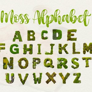 Alfabeto de musgo, letras latinas hechas de pastizales. Clipart PNG.