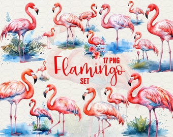 Clipart de flamencos en acuarela: Descargas PNG de animales tropicales (uso comercial)