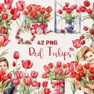 Aquarel rode tulpen clipart, 42 PNG aquarel tulpen bloemen clipart tulpenkrans, rode lentebloemen, bloemen clipart, commercieel gebruik