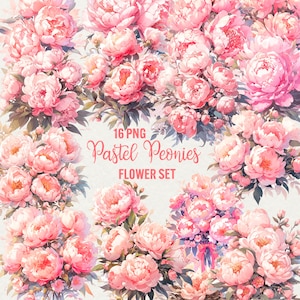 Aquarel pastel pioen clipart bundel, 16 png, pioenrozen kunst, bloemen boeket scrapbooking illustratie digitale kunst commercieel gebruik.