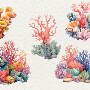 Op de afbeelding: Een aquarel illustratie van verschillende koraalrif formaties. De illustratie toont verschillende soorten koraal, waaronder vertakte, korstvormige en zachte koralen. Het koraal is afgebeeld in tinten roze, oranje en paars. De illustratie bevat ook een verscheidenheid aan zeeleven, zoals vissen, zeeanemonen en zeesterren.