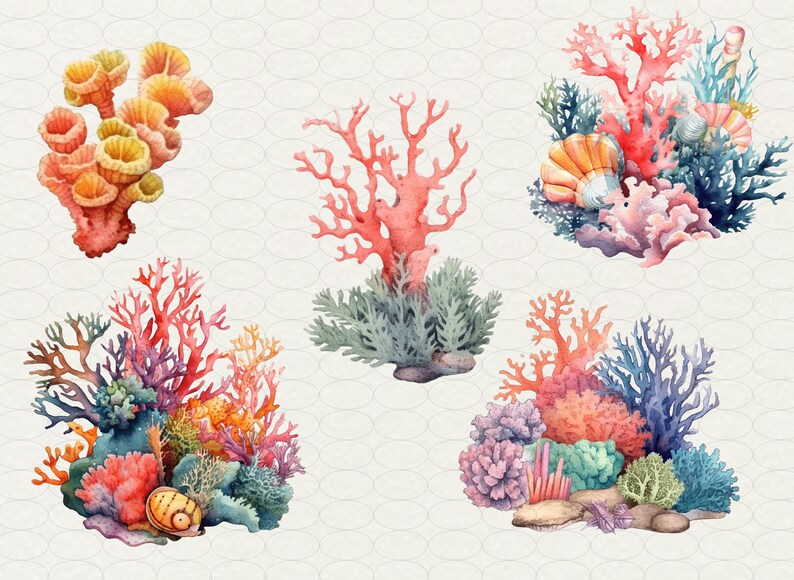 Op de afbeelding: Een aquarel illustratie van verschillende koraalrif formaties. De illustratie toont verschillende soorten koraal, waaronder vertakte, korstvormige en zachte koralen. Het koraal is afgebeeld in tinten roze, oranje en paars. De illustratie bevat ook een verscheidenheid aan zeeleven, zoals vissen, zeeanemonen en zeesterren.