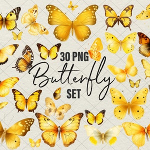 30 mariposas amarillas clipart PNG acuarela mariposa amarilla arte pegatinas mariposa paquete ilustraciones clipart conjunto, uso comercial