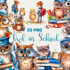 Clipart de búho escolar en acuarela, clipart de regreso a clases, búho de acuarela, animales escolares para maestros, 20 PNG, clipart de libros de búho, uso comercial digital