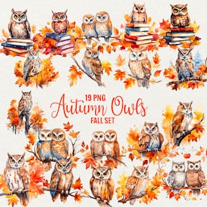 Aquarell Herbst Eule Clipart, Clipart Eule Herbst Tiere 19 PNG, Niedlichen Eule Herbst Clipart, Scrapbooking Papier Junk Journal, kommerzielle Nutzung