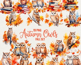 Watercolor Autumn Owl Clipart: 19 PNG Fall Animal Graphics (Commercial Use)