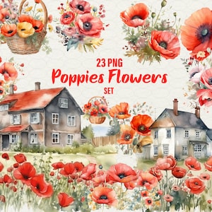 Clipart coquelicots. Clipart fleur, 23 coquelicots aquarelle png, bouquet de fleurs de coquelicots, coquelicots aquarelle, fleurs de village, usage Commercial