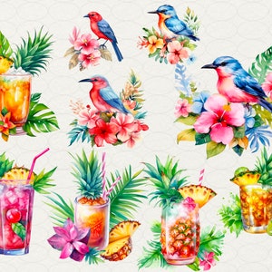 Summer Hawaii Clipart, Aloha Hawaii Watercolor, 64 PNG Hawaii clip art Digital art, flowers, drinks, surfing, beach, palms, Commercial use. Hawaii party, luau Hawaii