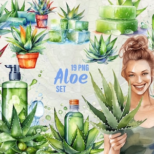 Cuidado de la piel Aloe clipart, 19 png Acuarela Aloe vera, Clipart suculento, Planta de interior, Vegetación de aloe, Manualidades de papel digital, Uso comercial.