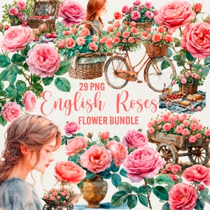 Clipart de rosas inglesas de acuarela, 29 flores rosas PNG, ramo de rosas rosadas, niña con flores Png, mujer rosas verano flor uso comercial.