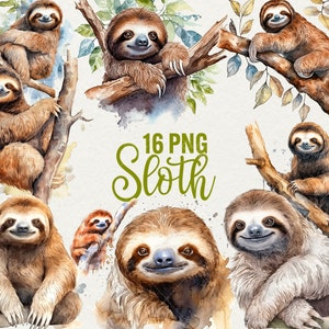 Watercolor Sloth Clipart Bundle, Cute animal Clipart, 16 Png instant download, Commercial Use