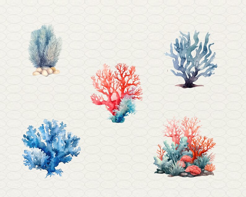 Op de afbeelding: Waterverfillustratie van vijf verschillende soorten koraal. Het koraal is in tinten blauw, rood en groen. Het koraal is geplaatst op een witte achtergrond met een subtiel patroon.