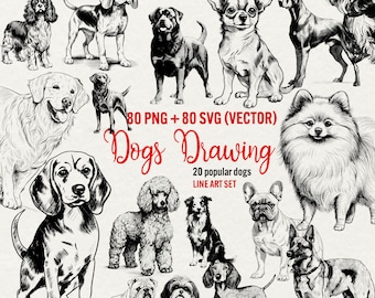 Op de afbeelding: Een set van 20 zwart-witte lijntekeningen van verschillende hondenrassen. De illustraties zijn in een eenvoudige, minimalistische stijl en zijn perfect voor gebruik in digitale of printprojecten. 80 PNG- en 80 SVG-bestanden zijn inbegrepen.