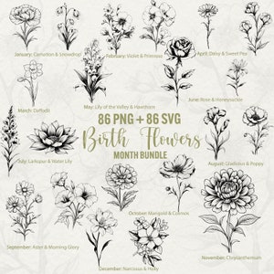 Flores para el mes de nacimiento, 86 imágenes prediseñadas florales SVG + 86 PNG, flores de cumpleaños, archivos SVG para Cricut, kit de flores, paquete para cumpleaños, uso comercial