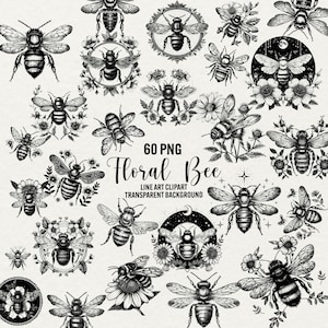 Clipart floral abeille, dessin au trait abeille 60 png, clipart insecte, png reine des abeilles, abeille mignonne, clipart céleste, téléchargement immédiat, usage commercial