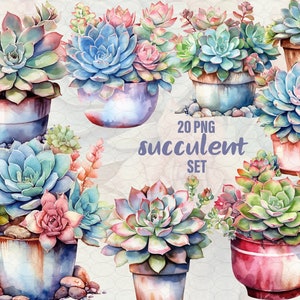 Imágenes prediseñadas de suculentas, imágenes prediseñadas florales, 20 imágenes PNG. Suculentas para bodas, arte de acuarela, hermosa ilustración de cactus. Uso comercial.