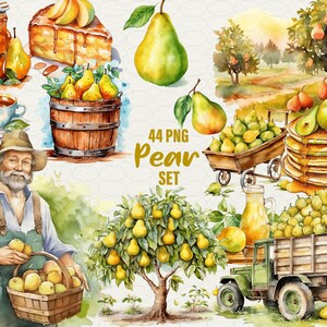 Pacchetto clipart di pere 44 PNG Acquerello giallo Clipart di pere, Torta di pere, Frutteto, succo di pera, contadino, Marmellata di pere in barile, raccolto. Uso commerciale