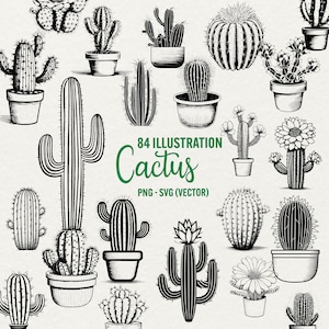 Cactus SVG Bundle, Cactus Clipart 84 Svg + PNG, cactus et fleurs succulentes, cactus plante Svg, numérique vecteur Cricut, usage Commercial