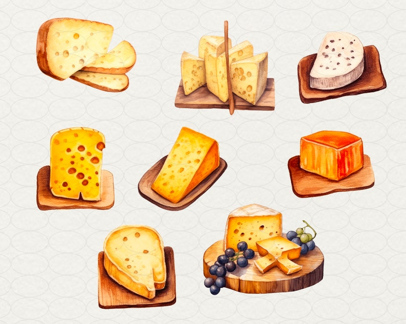 cheese-board-clipart-watercolor-food-illustrations-33-png-etsy