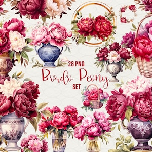 Akwarela Bordo Peonies wazon Clipart, 28 Png, Tworzenie kartek, akwarelowe kwiaty scrapbooking, Ilustracja cyfrowa, Wykorzystanie komercyjne.