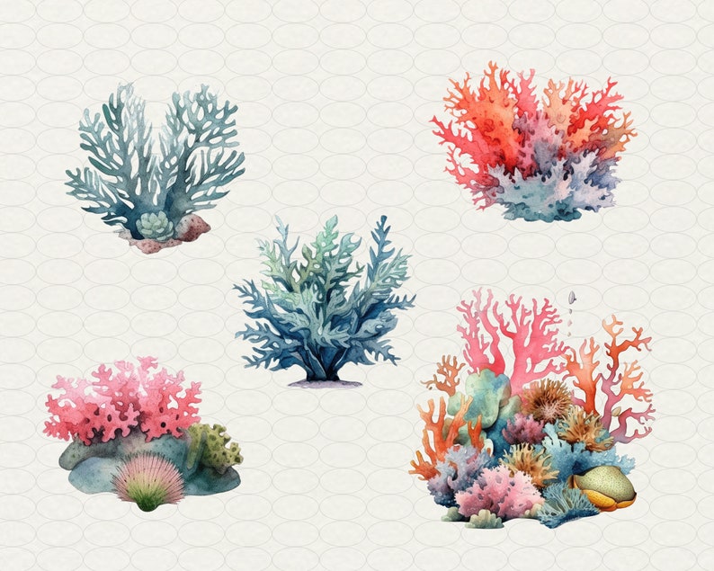 Op de afbeelding: Vijf aquarel illustraties van verschillende soorten koraal. Het koraal is in tinten roze, rood, blauw en groen. Het koraal is geplaatst op een witte achtergrond met een subtiel patroon.