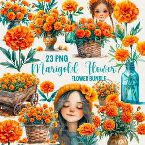 Imágenes prediseñadas de flor de caléndula en acuarela, 23 flores de primavera PNG, caléndula naranja PNG, linda niña floral, gráficos de ramo de flores, uso comercial