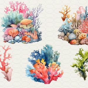 Op de afbeelding: Waterverf schilderij van koraalriffen met verschillende tinten blauw, groen, oranje en roze. De koraalriffen zijn omgeven door rotsen en schelpen.
