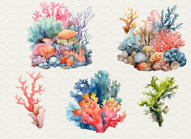 Op de afbeelding: Waterverf schilderij van koraalriffen met verschillende tinten blauw, groen, oranje en roze. De koraalriffen zijn omgeven door rotsen en schelpen.