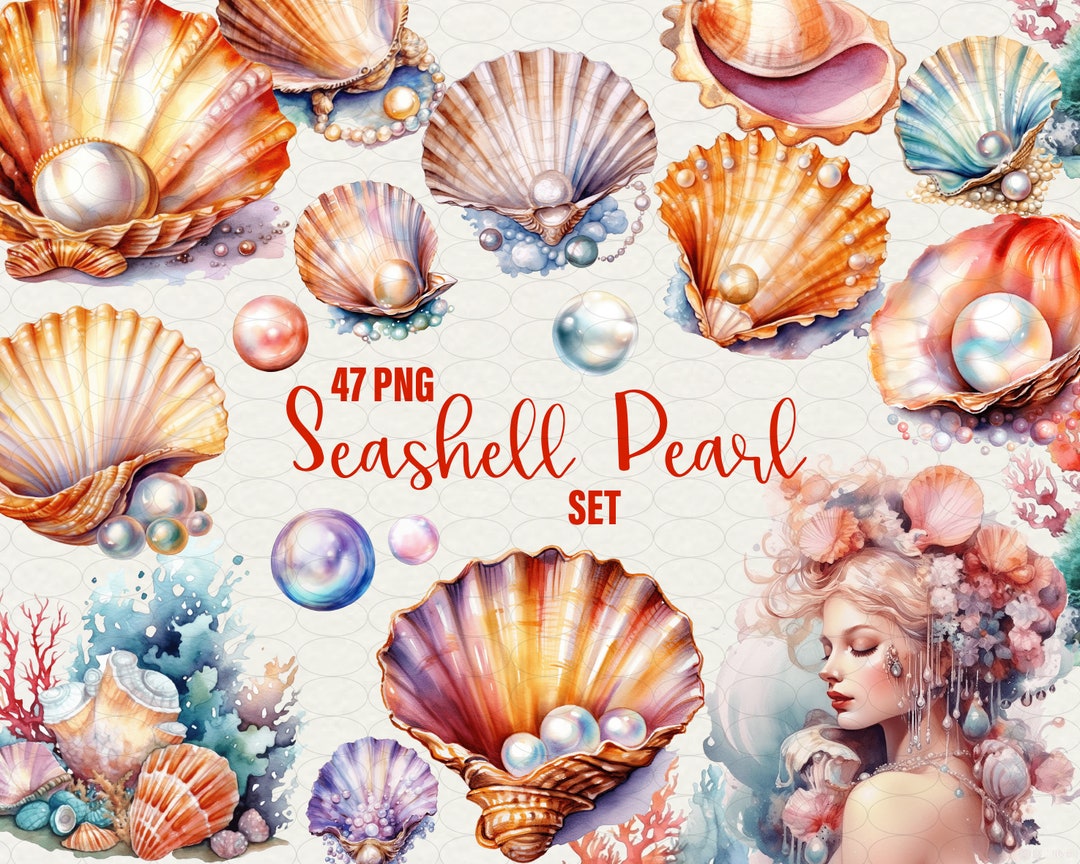 絵画「テープ珊瑚と、貝たち」 絵画「テープ珊瑚と、貝たち」