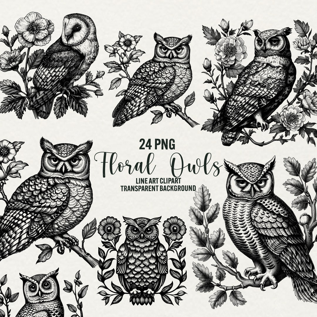Floral Owl Clipart Vintage Botanical Line Art 24 PNG Etsy floral-owl-clipart-vintage-botanical-line-art-24-png-etsy