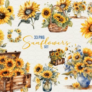 Aquarell Sonnenblumen Clipart Set 33 PNG für Einladung, Geschenkkarten, Aufkleber Sonnenblume Illustration gelbe Blume Clipart, kommerzielle Nutzung.