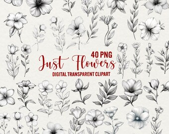 Clipart floral monochrome : 40 images PNG de fleurs élégantes (téléchargement numérique)