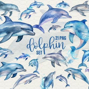 Clipart dauphin aquarelle, 21 png animaux de l'océan Téléchargement aquarelle dauphin, usage commercial.