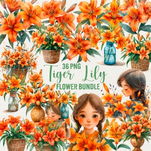 Clipart de lírio tigre aquarela, 36 imagens de flores de lírio png, gráficos de flores de primavera, lírios laranja png, clipart de garota floral, uso comercial