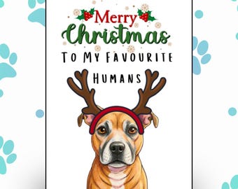 Merry Christmas From The Dog Christmas Card Cat or Dogs Custom Picture Of Your Pet