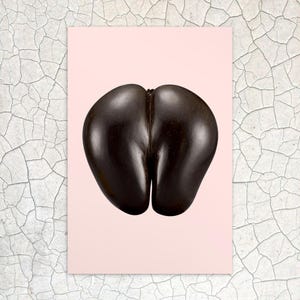 Coco de Mer Postkarte | Natürliche Kunst Postkarte | Minimalistische Postkarte | Feminismus Postkarte