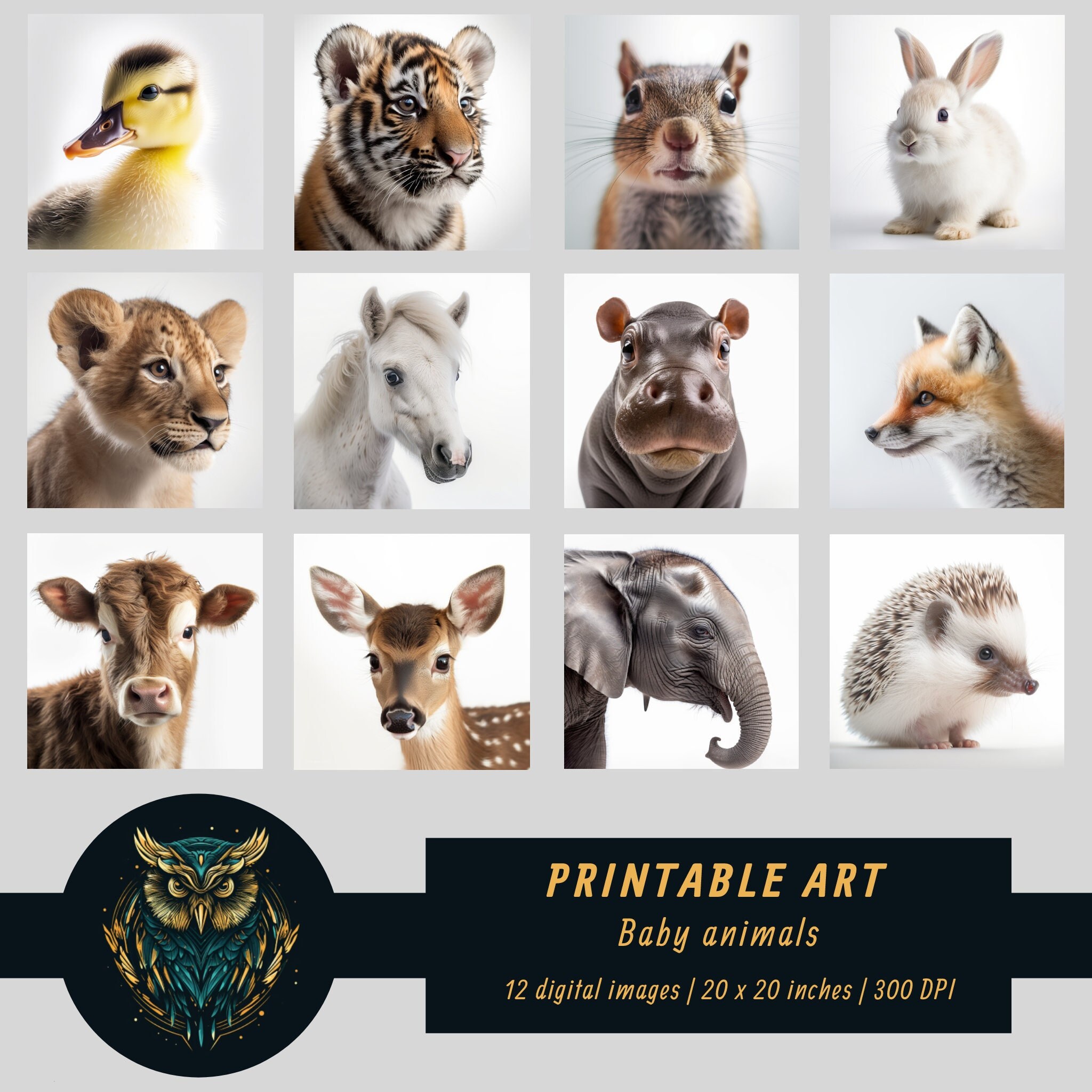 12 PRINTABLE BABY ANIMALS, Nursery Wall Art, Kids Room Printable ...